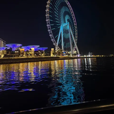 Ain Dubai lit up across the water at night